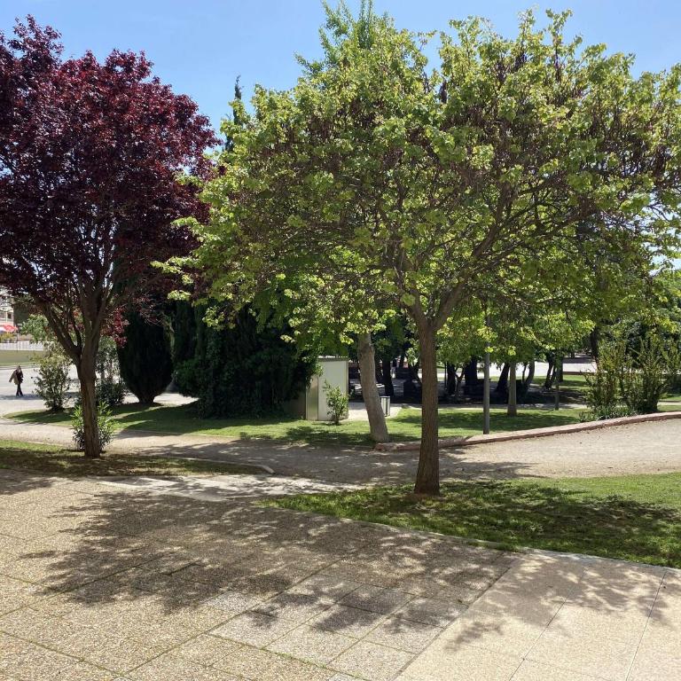 Studio lumineux avec climatisation et wifi à Balaruc-les-Bains - FR-1-553-61 - Studio - 12