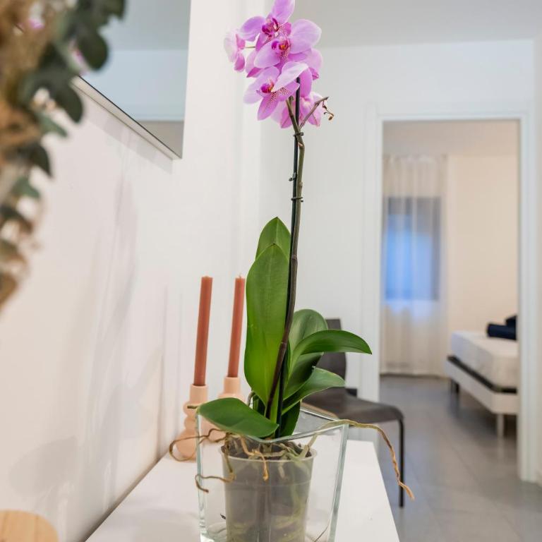 Gelsi Apartments Lake Como - Appartamento con 1 Camera da Letto - 1