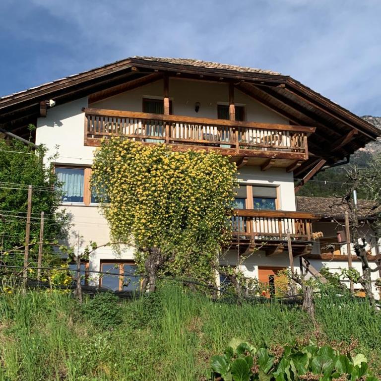Gfillhof Ferienwohnung 2 - Appartamento con 1 Camera da Letto - 8