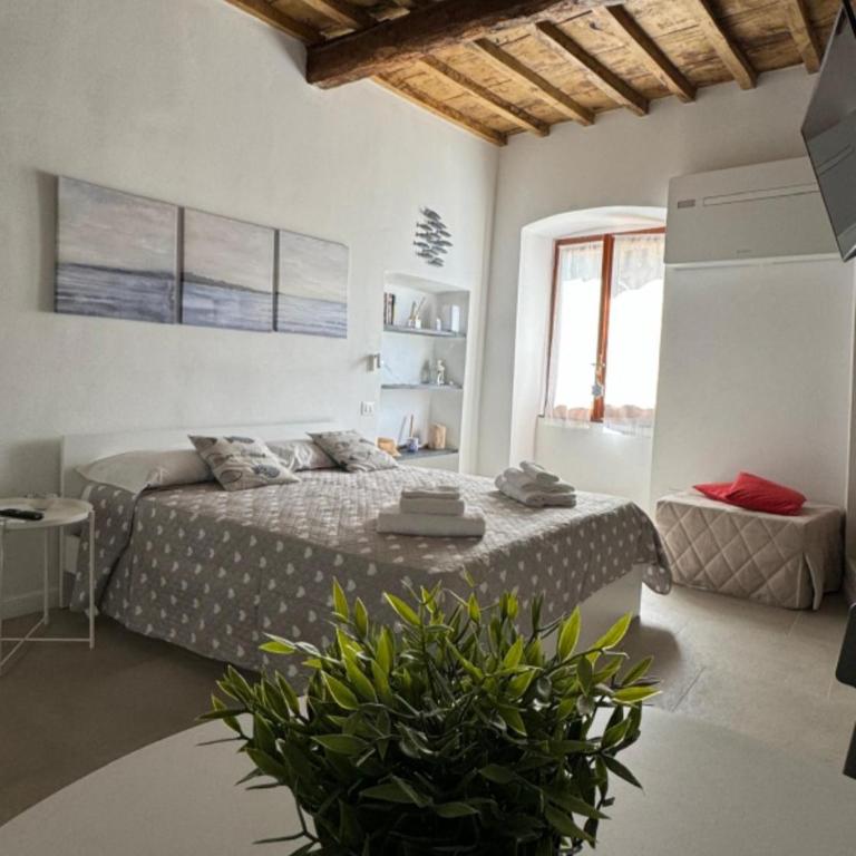 CasAmare - Deluxe Studio - 3
