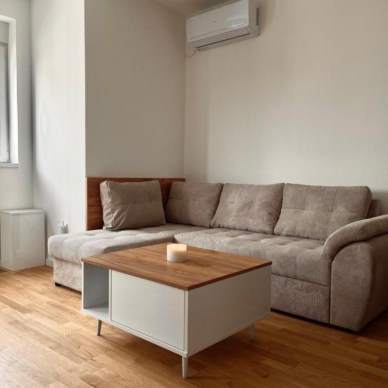 Tina Apartman Sokobanja - Apartment - 22