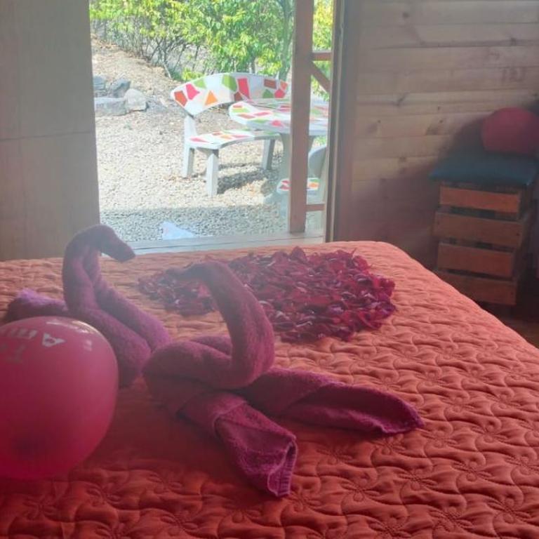 Cabaña Alto de Luna para Pareja - Apartamento de 1 dormitorio - 11