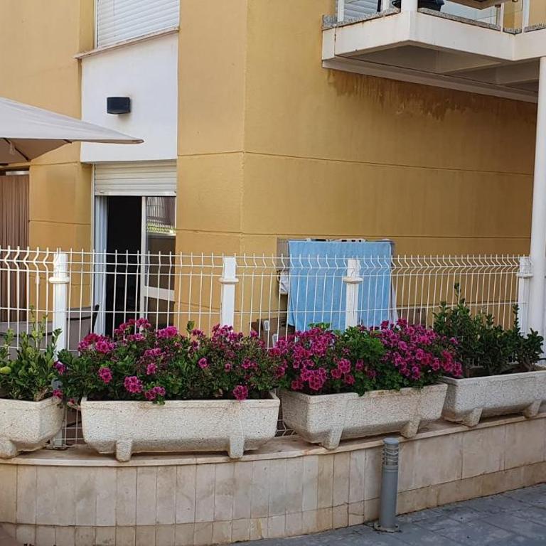Vera Albacora - Apartamento de 2 dormitorios - Planta baja - 16