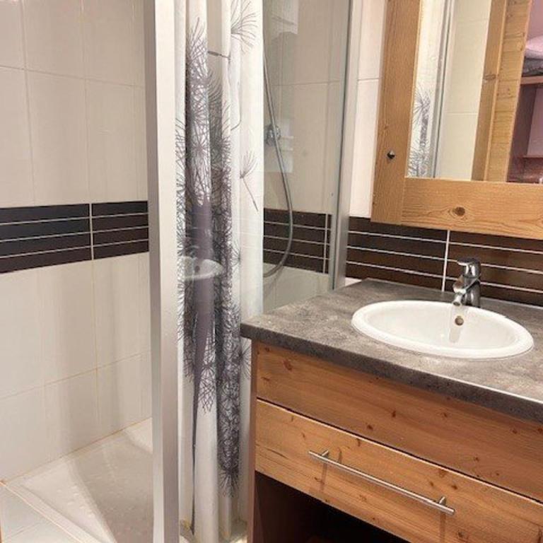 Appartement 3 pièces 6 pers. - Pied des pistes avec piscine, sauna et animaux admis - Appartement 2 Chambres - 17