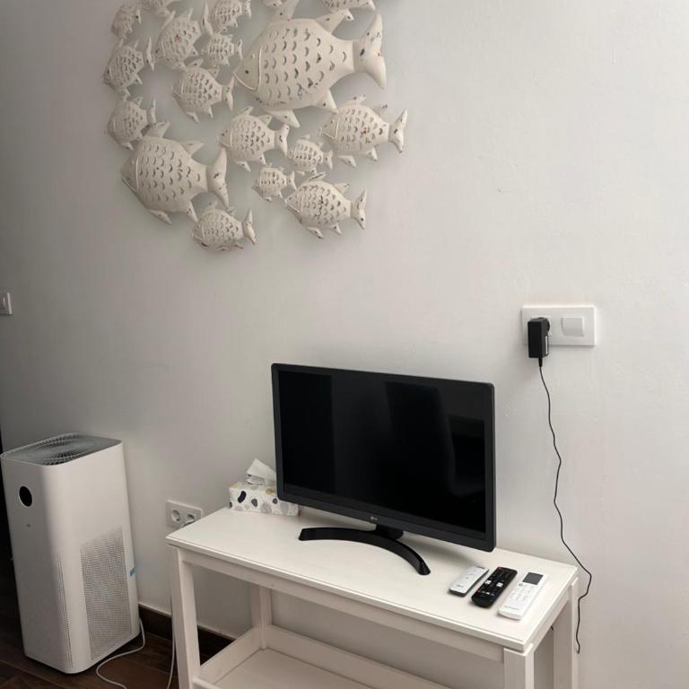 Moratin n3 apartamento 50m2 en el centro - Apartamento de 1 dormitorio - 5