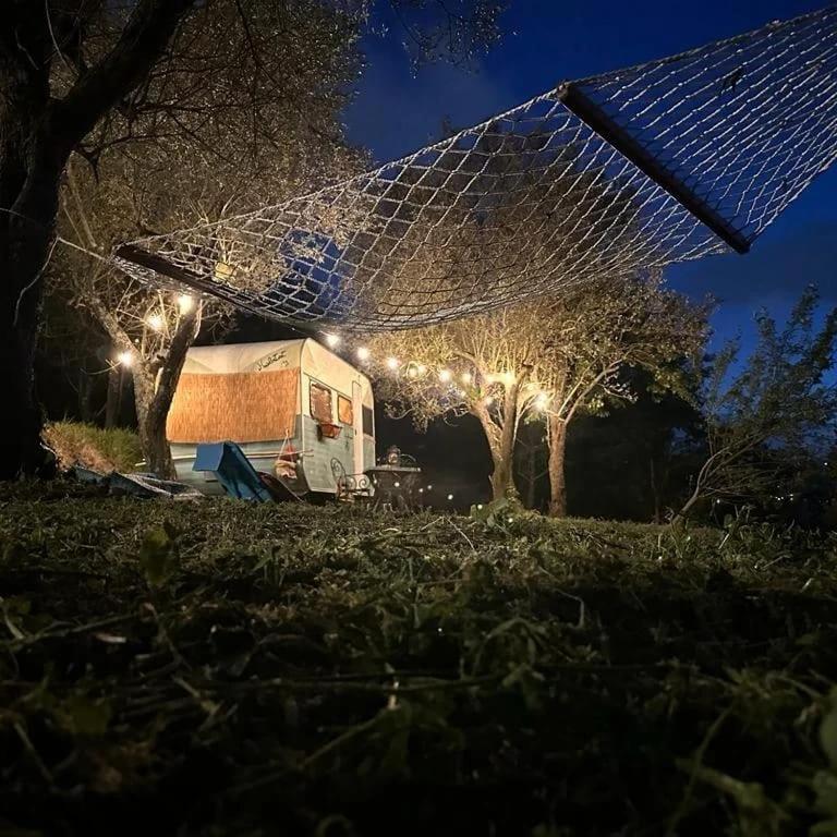 Habitat Eco Farm - Roulotte - 1
