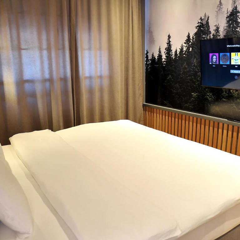 Modern Mountain - Superior Apartman Tipa Suite s King-sajz Krevetom - 10