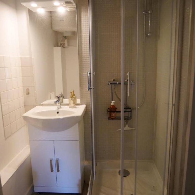 Joli cocon - Dijon centre ville - Appartement 1 Chambre - 10
