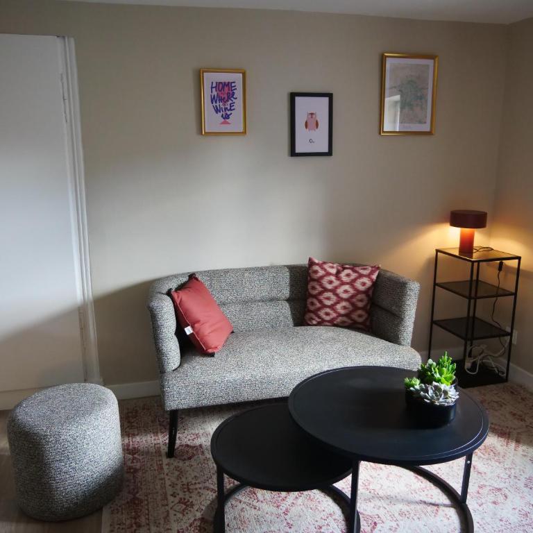 Joli cocon - Dijon centre ville - Appartement 1 Chambre - 1