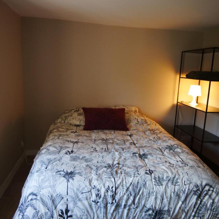 Joli cocon - Dijon centre ville - Appartement 1 Chambre - 9