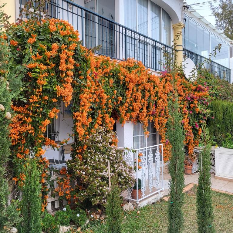 Torreblanca 2 bedrooms apart with small garden and pool - Appartement 2 Chambres - 2
