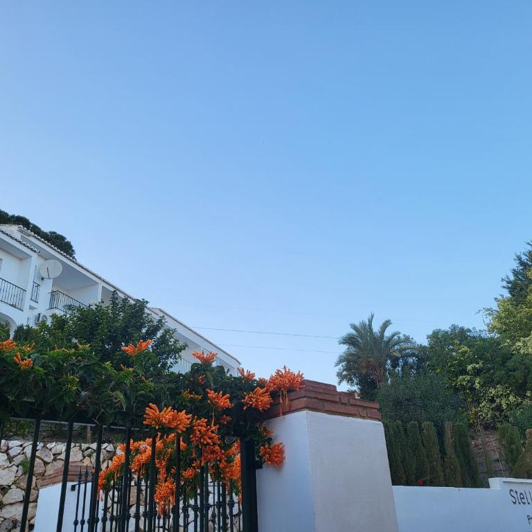 Torreblanca 2 bedrooms apart with small garden and pool - Appartement 2 Chambres - 24