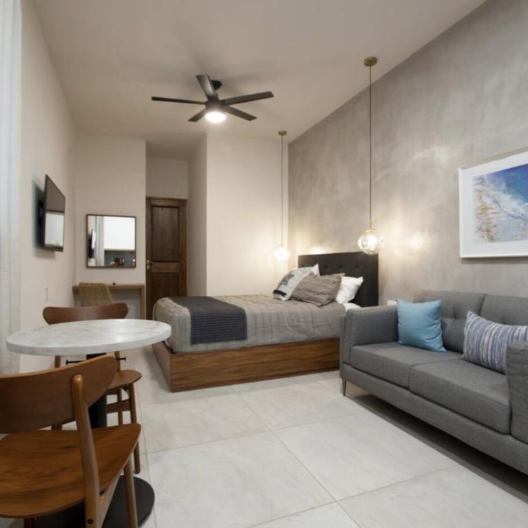 Departamentos & Villa Monarka, 1 Block from Malecon! - Apartamento de 1 dormitorio - 10