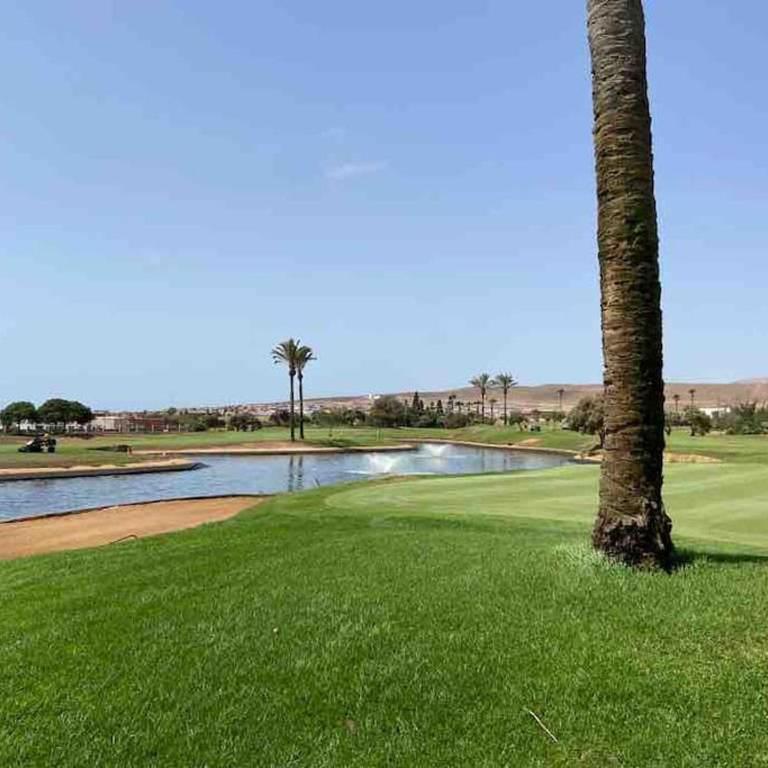 Oasis Golf Villa - Villa - 43