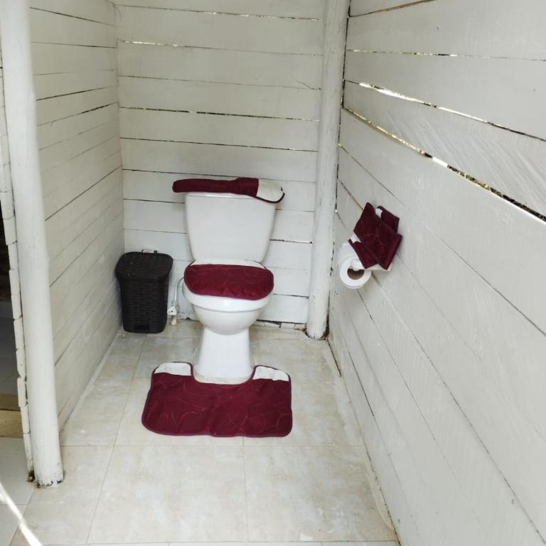 Glamping Eco Azulejo - Habitación Doble - 26