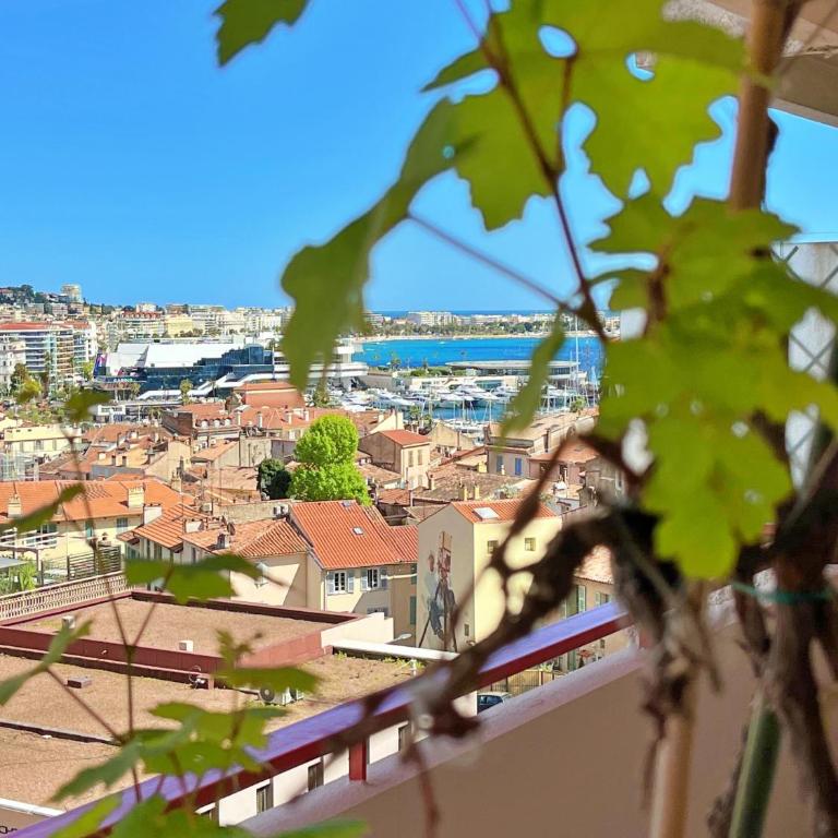 Le charme de Cannes - Appartement 2 Chambres - 5