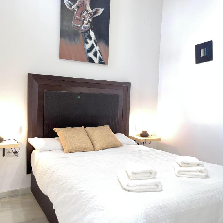 RgHOST-Apartamento La Palma en Casco Histórico - Apartamento de 2 dormitorios - 8
