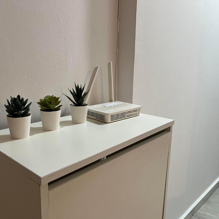 RgHOST-Apartamento La Palma en Casco Histórico - Apartamento de 2 dormitorios - 24