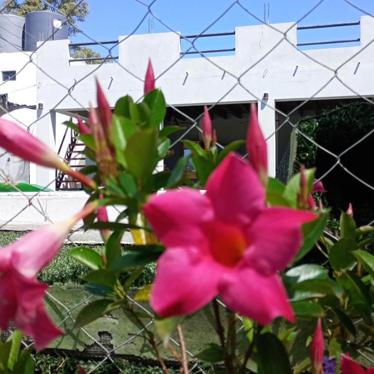 COMPLEJO MAINUMBI DUPLEX 5 - Apartamento de 2 dormitorios - 12