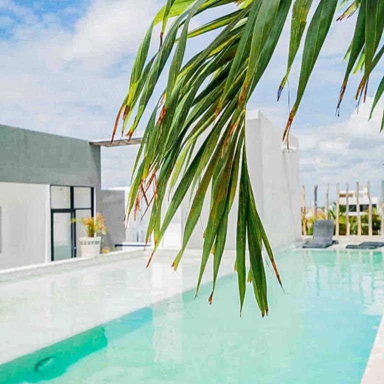 Joya de la Zazil 20 Av ROOFTOP POOL Walk to Playa Mamitas Coco Beach & 5 - Apartment - 5