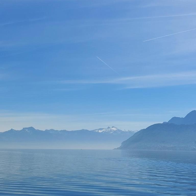 Le Mirabeau Vue Lac - Apartamento de 1 dormitorio - 32