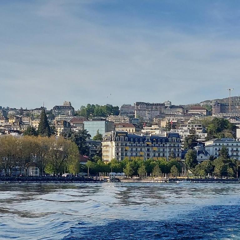 Le Mirabeau Vue Lac - Apartamento de 1 dormitorio - 33