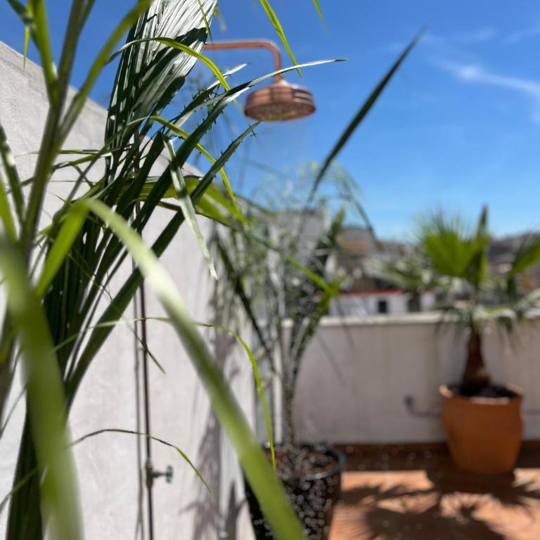 La Terraza de Porvenir 10 - Jerez de la Frontera - Apartamento de 3 dormitorios - 27