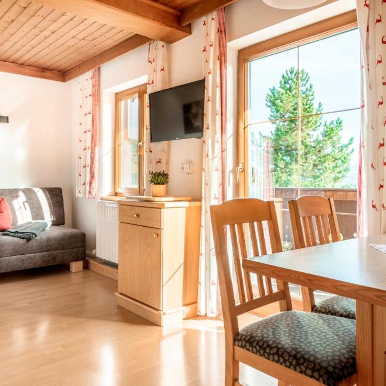 Prechtlhof in Flachau - One-Bedroom Apartment with Balcony - 6