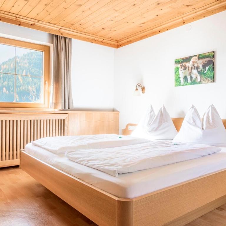 Prechtlhof in Flachau - One-Bedroom Apartment with Garden View - 4