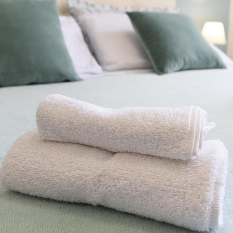 Verde Salmastro - Two-Bedroom Apartment - 12