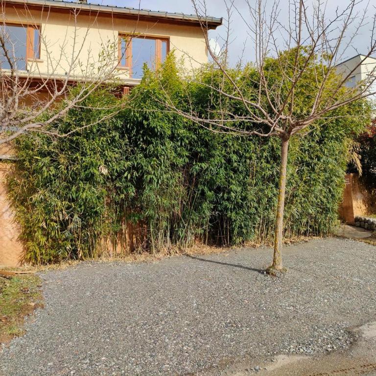 Le Cosy du Plongeoir - T2 neuf avec vue sur le lac de Serre Ponçon et grande terrasse avec jardin - Appartement 1 Chambre - 29