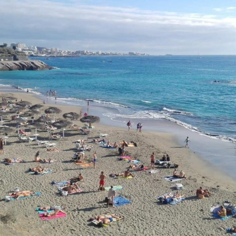 Altamira 58 - One Bed - Apartamento - 11