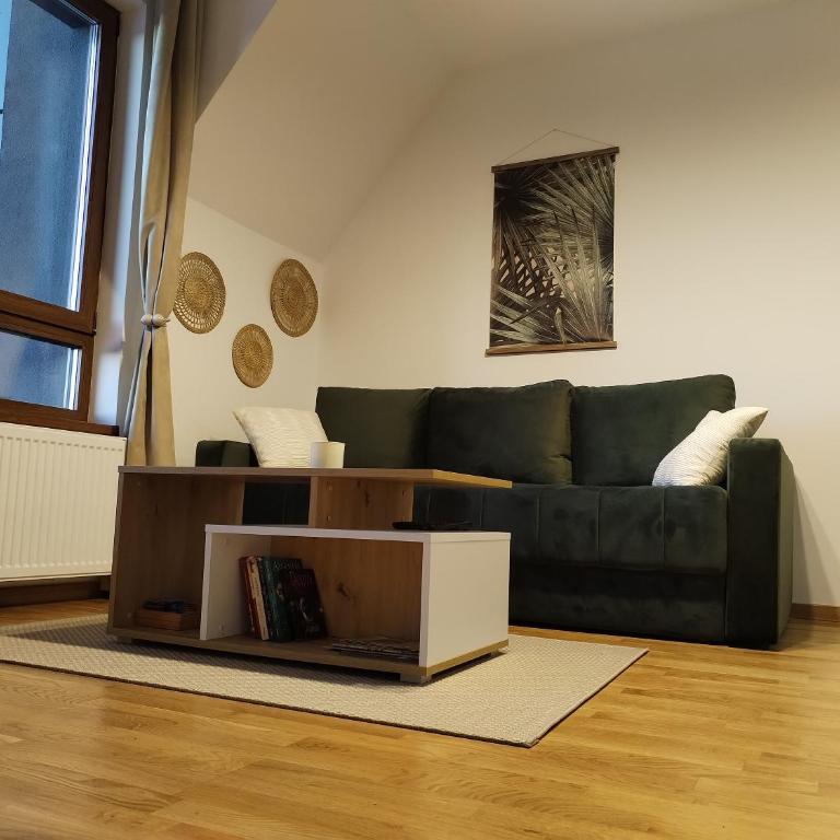 B9 Divcinova - One-Bedroom Apartment - 7