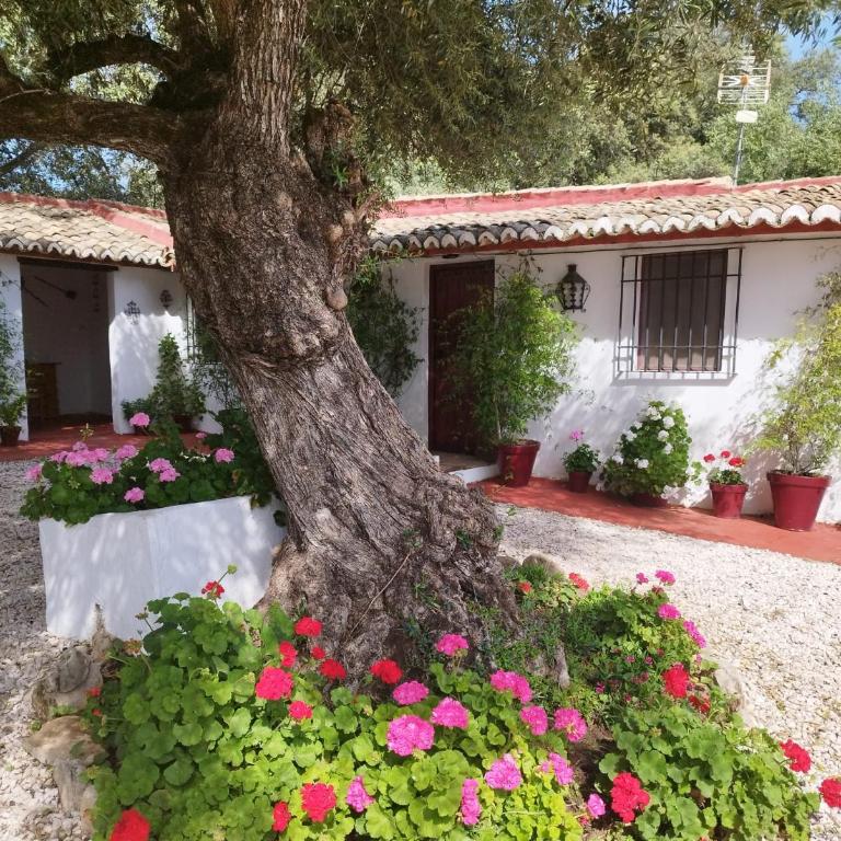 Casa Abanto - Casa de 5 dormitorios - 6