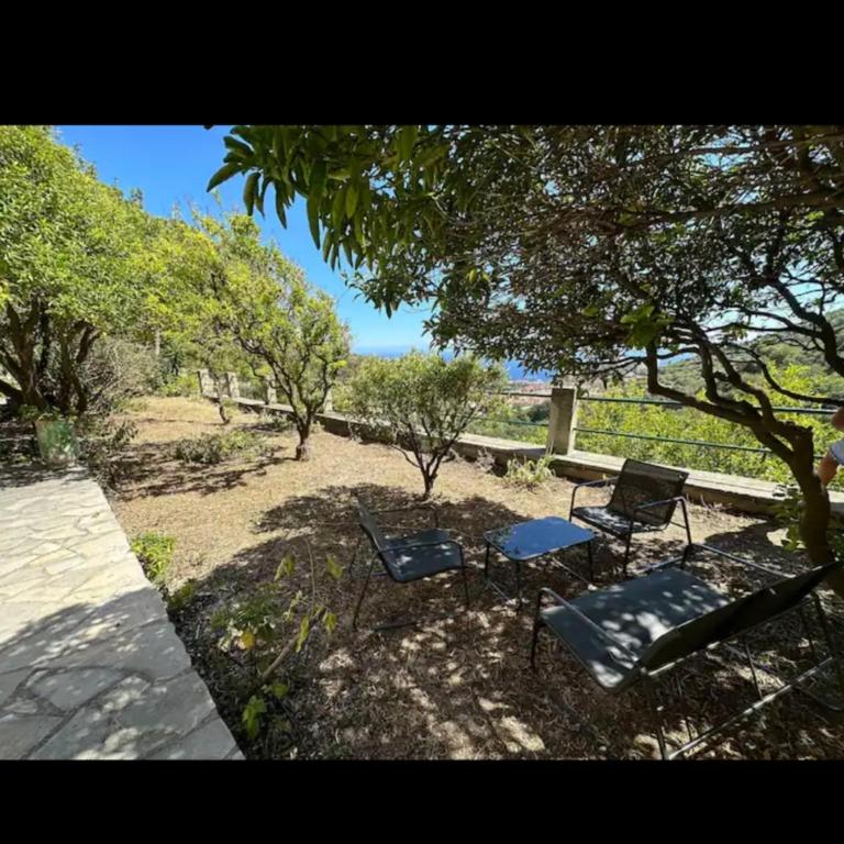 10 min de Monaco petite maison avec jardin vue mer et rocher de Monaco - Maison 1 Chambre - 1