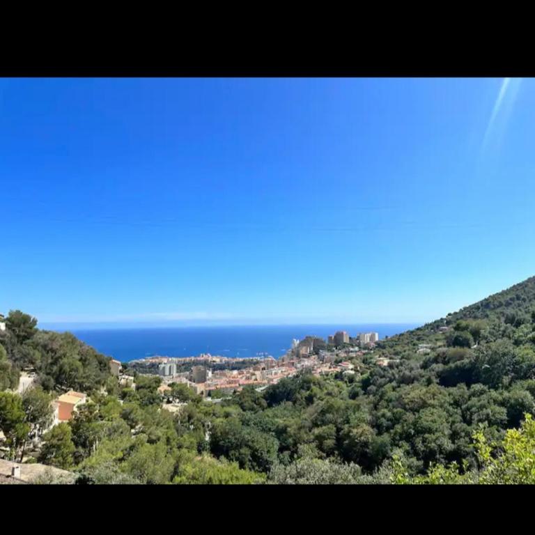 10 min de Monaco petite maison avec jardin vue mer et rocher de Monaco - Maison 1 Chambre - 4