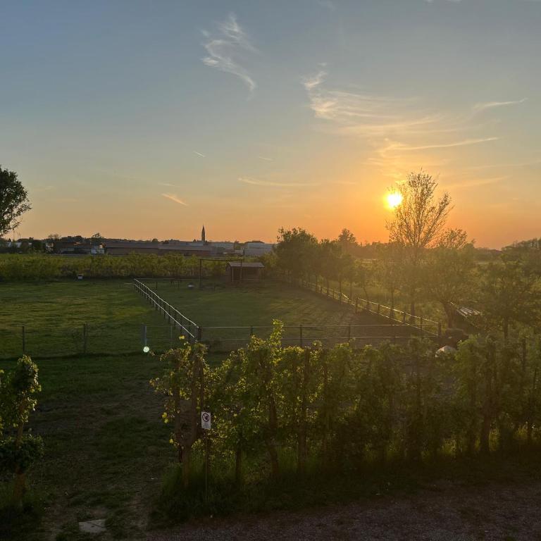 Agriturismo Al Botteniga - Großes Doppelzimmer - 6