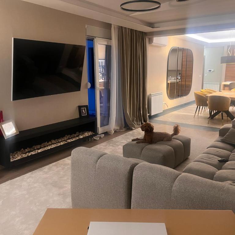 Autokomanda Large Family Apartment - Apartman sa 3 Spavaće Sobe - 10