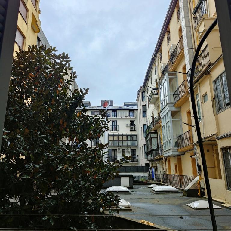 Apartamento ideal y acogedor Bengoetxea en pleno centro de Donostia - San Sebastián - Apartamento de 2 dormitorios - 26
