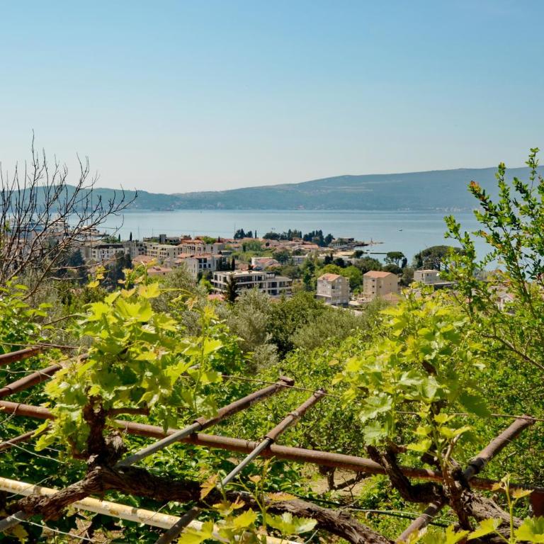 Porto Lastva Apartments - Studio sa Pogledom na More - 1