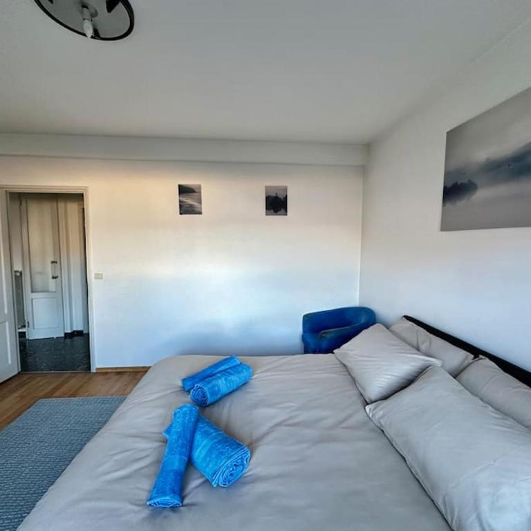 Amazing view lago maggiore - Two-Bedroom Apartment - 8