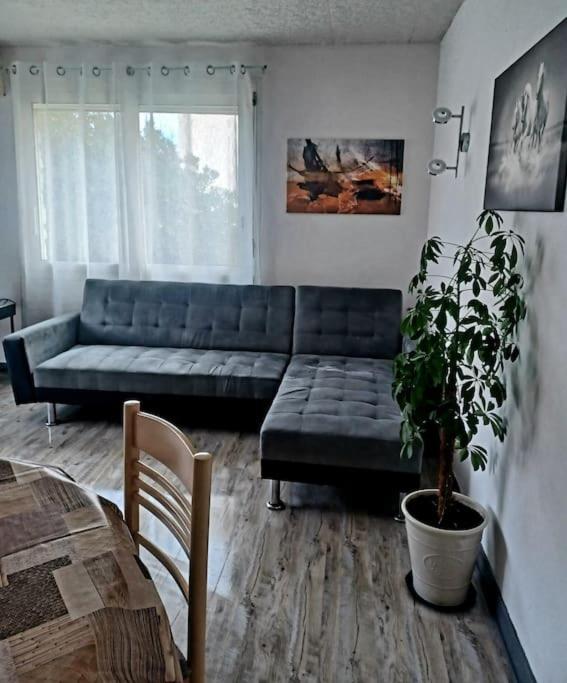 Appartement 2 chambres, avec terrasse/parking - Appartement 2 Chambres - 13