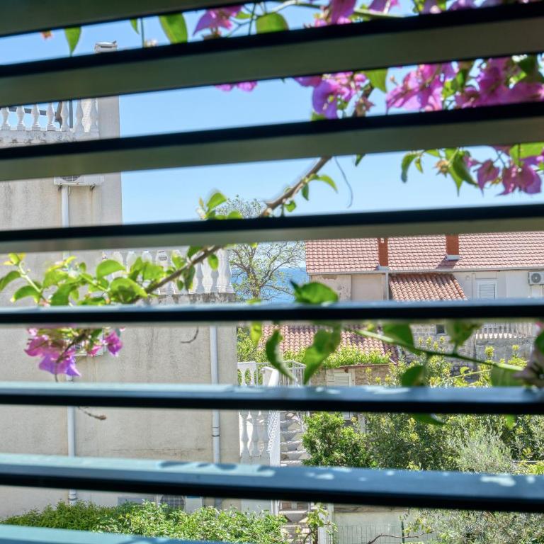 Apartman Zenta - One-Bedroom Apartment - 11