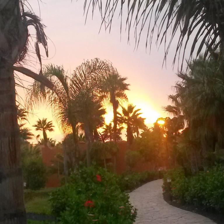 Appartamento in Oasis tropicale - Casa - 36