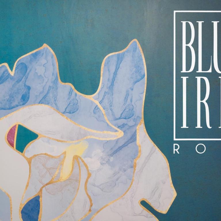 The blue Iris - Appartamento con Balcone - 11