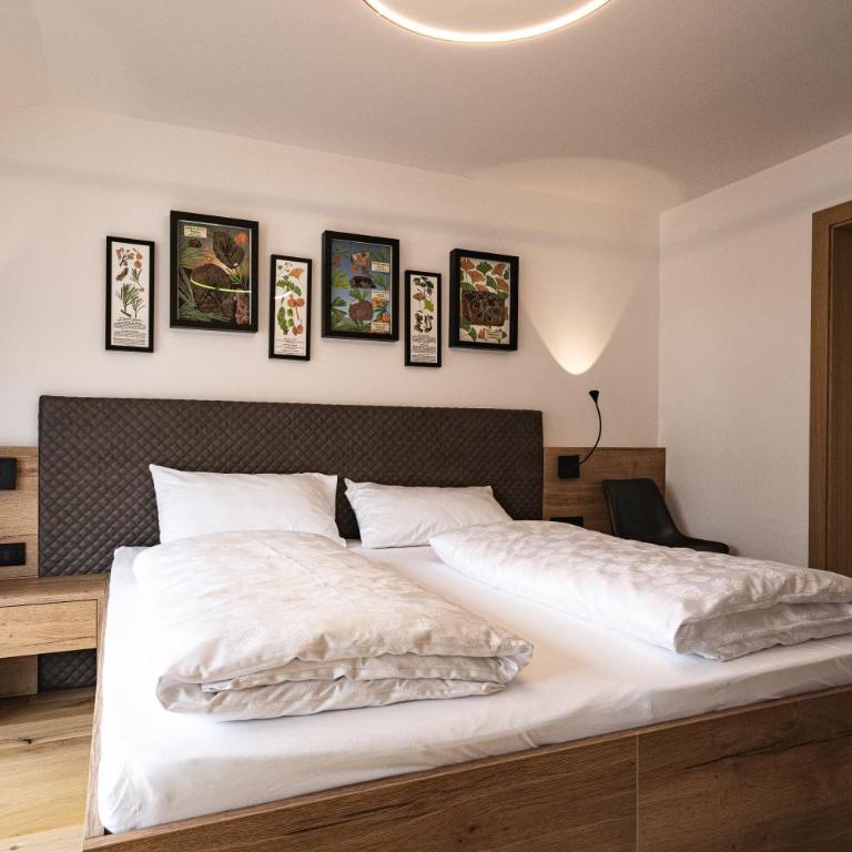 Wachtler Dolomite Apartments - Apartment mit 1 Schlafzimmer und Balkon - 2