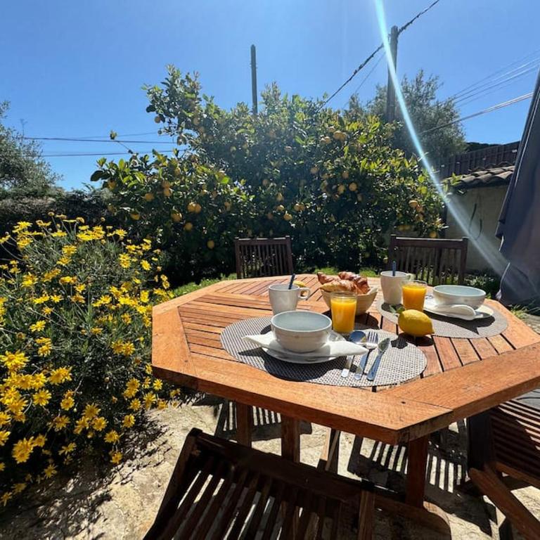 Bas de villa provençale 2 pièces avec Jardin - Appartamento con 1 Camera da Letto - 4