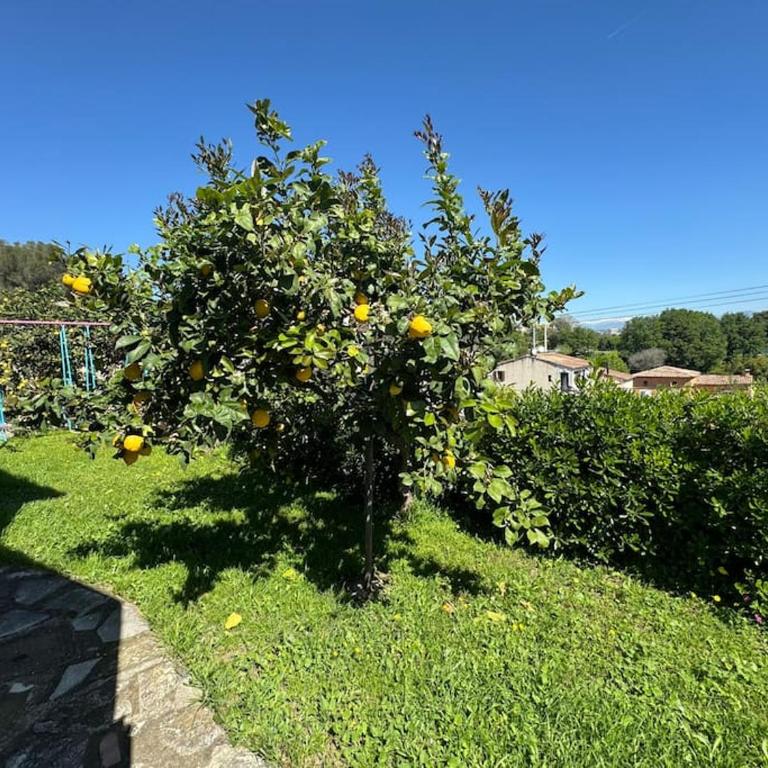 Bas de villa provençale 2 pièces avec Jardin - Appartamento con 1 Camera da Letto - 31