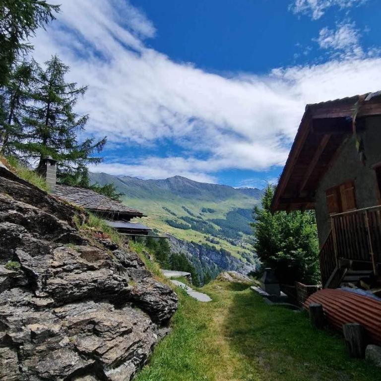 Chalet Les Rocailles - Appartement 3 Chambres - 36