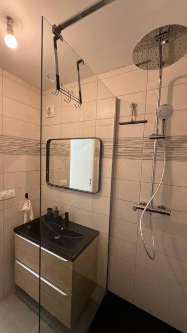 Le Nid Champenois - Apartment mit 1 Schlafzimmer - 25